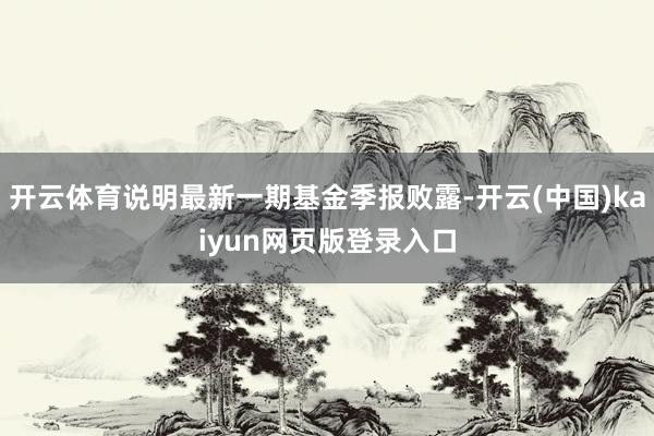 开云体育说明最新一期基金季报败露-开云(中国)kaiyun网页版登录入口