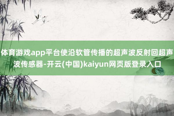 体育游戏app平台使沿软管传播的超声波反射回超声波传感器-开云(中国)kaiyun网页版登录入口