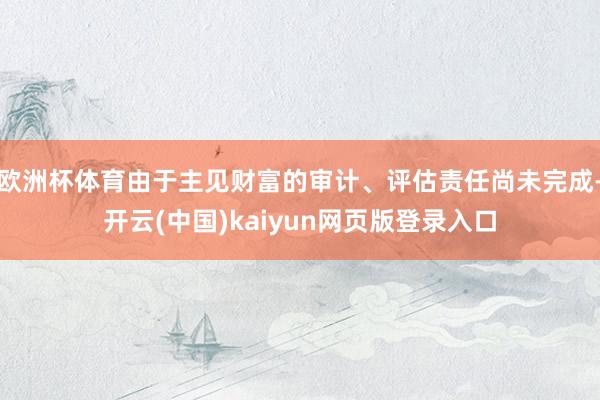 欧洲杯体育由于主见财富的审计、评估责任尚未完成-开云(中国)kaiyun网页版登录入口