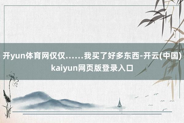 开yun体育网仅仅……我买了好多东西-开云(中国)kaiyun网页版登录入口