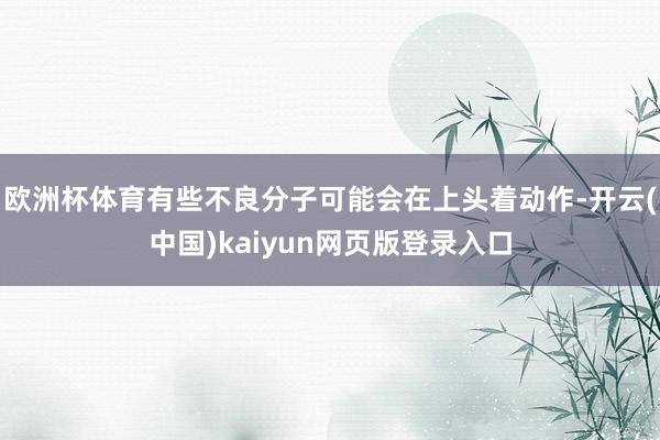 欧洲杯体育有些不良分子可能会在上头着动作-开云(中国)kaiyun网页版登录入口