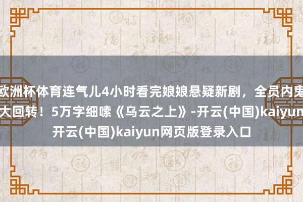 欧洲杯体育连气儿4小时看完娘娘悬疑新剧，全员内鬼，17集本体8个大回转！5万字细嗦《乌云之上》-开云(中国)kaiyun网页版登录入口