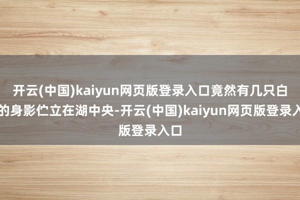 开云(中国)kaiyun网页版登录入口竟然有几只白色的身影伫立在湖中央-开云(中国)kaiyun网页版登录入口