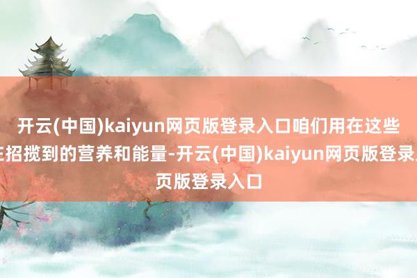 开云(中国)kaiyun网页版登录入口咱们用在这些所在招揽到的营养和能量-开云(中国)kaiyun网页版登录入口
