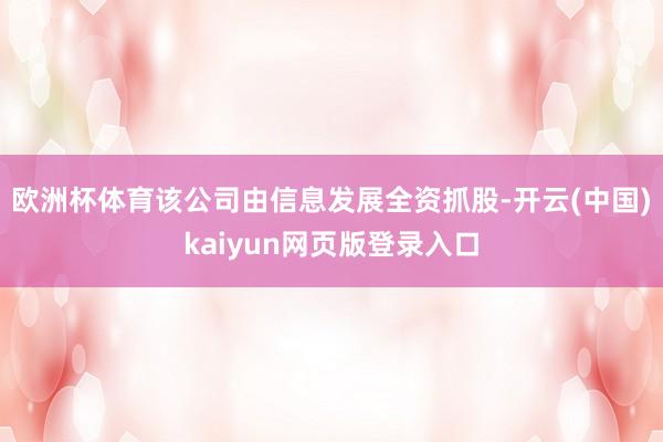 欧洲杯体育该公司由信息发展全资抓股-开云(中国)kaiyun网页版登录入口