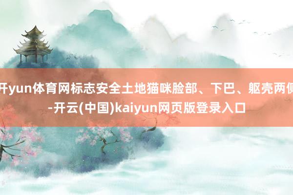 开yun体育网标志安全土地猫咪脸部、下巴、躯壳两侧-开云(中国)kaiyun网页版登录入口