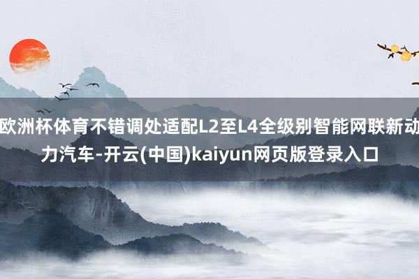 欧洲杯体育不错调处适配L2至L4全级别智能网联新动力汽车-开云(中国)kaiyun网页版登录入口