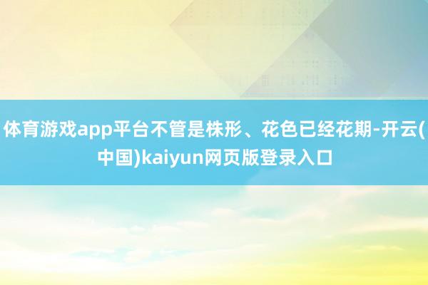 体育游戏app平台不管是株形、花色已经花期-开云(中国)kaiyun网页版登录入口